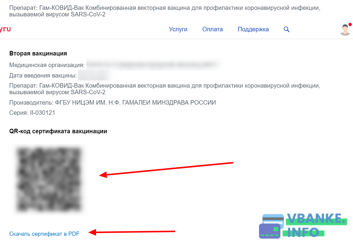 Как выглядит сертификат вакцинированного