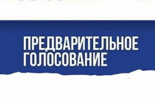 Как зарегистрироваться на предварительное электронное голосование «Единой России»