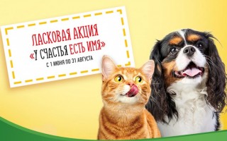 Промо акция Friskies «У счастья есть имя!» — регистрация чека и розыгрыш призов